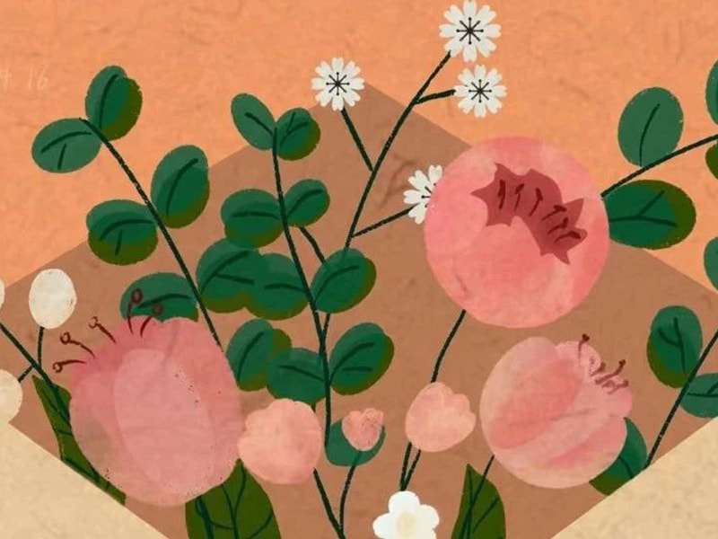 Surat kepada keluarga Jufeng